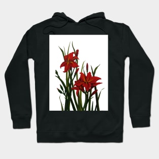 Day Lily 2 Watercolour and Gouache Painting Hoodie